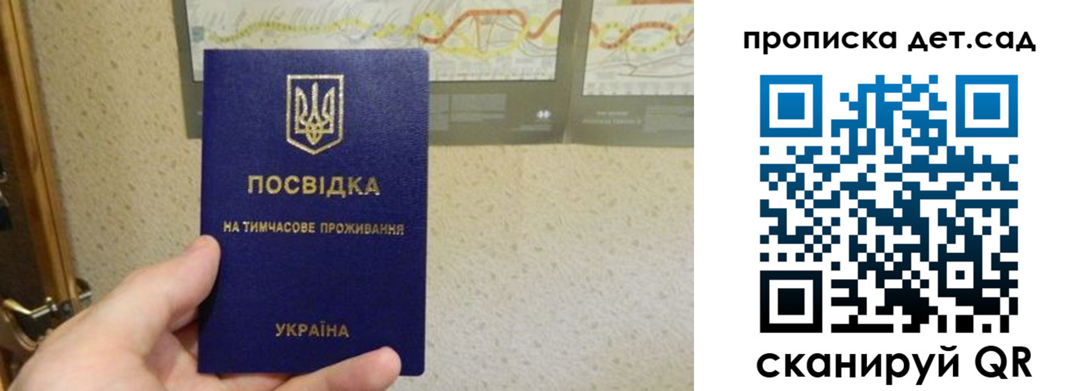 прописка для школы в Домодедово