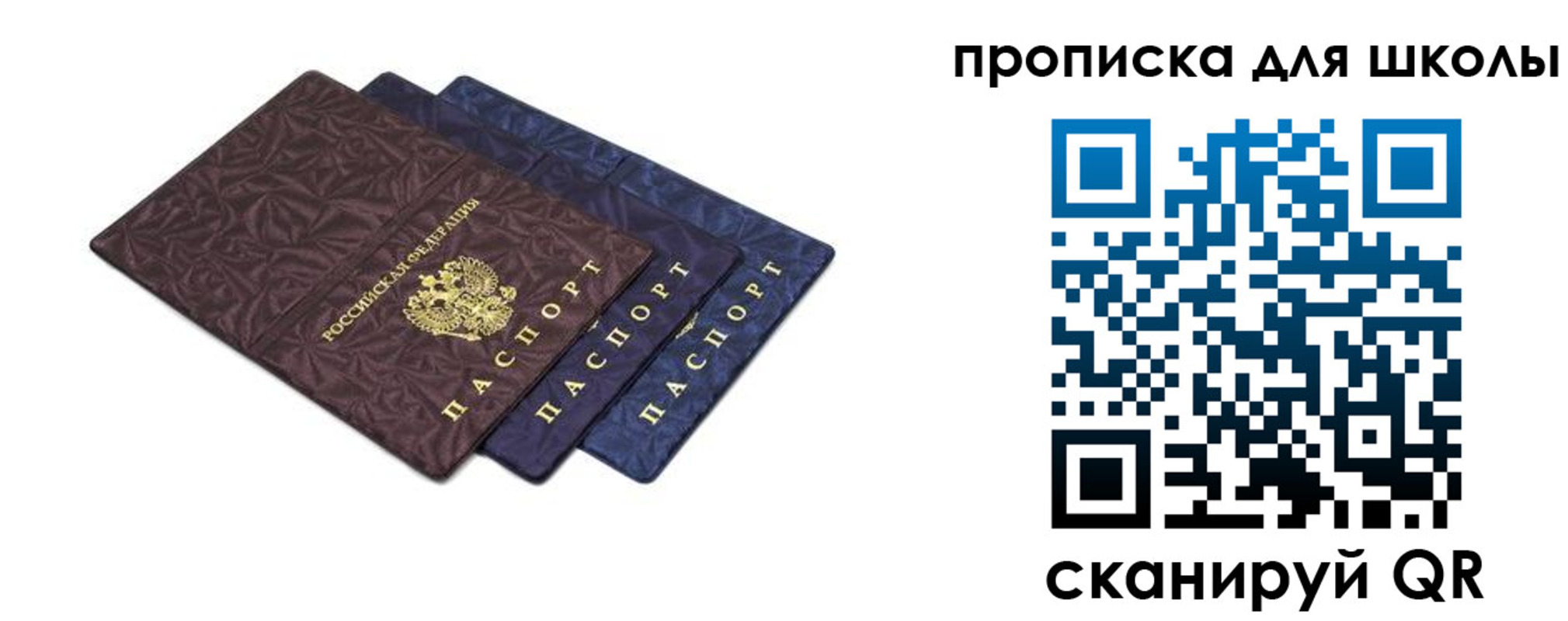 прописка в квартире в Домодедово